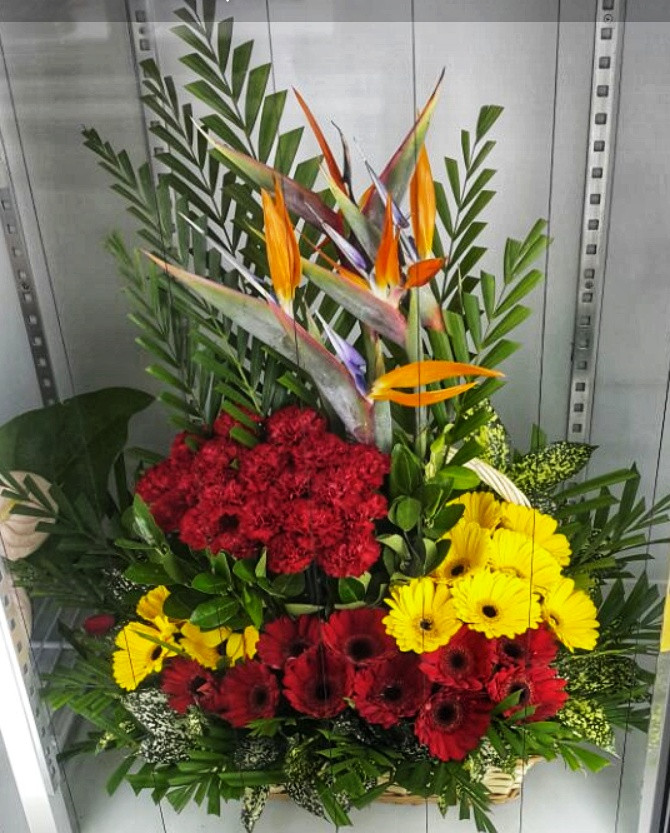 Exotic and colourful arrangements
